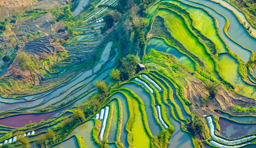 阆中市企业宣传片制作